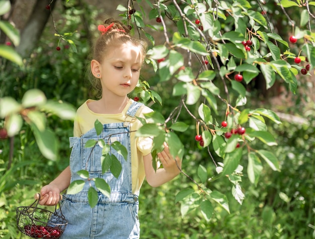 Nettes kleines Mädchen pflückt eine Kirsche von einem Baum im Kirschgarten