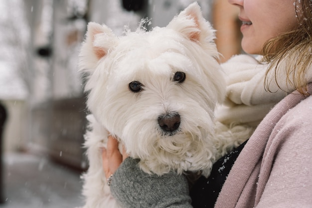 Nettes lachendes Mädchen, das entzückenden weißen Hund mit lustigen niedlichen Gefühlen umarmt. West Highland White Terrier. Adoptionskonzept.