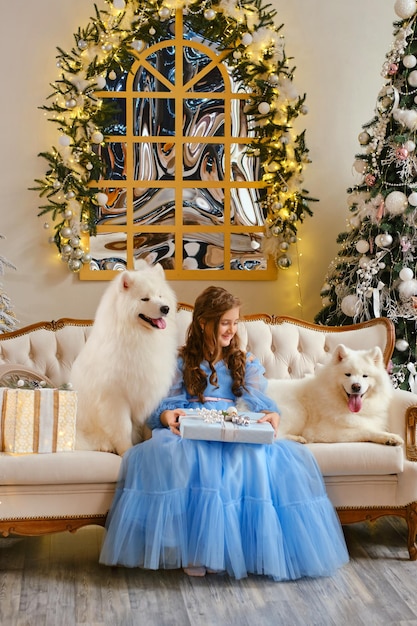 Nettes Mädchen in einem hellblauen Kleid mit Geschenkbox und zwei weißen Samojeden