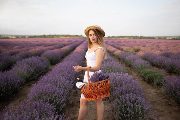 Nettes Mädchen in einem Strohhut mit einem Korb steht im Sommer bei Sonnenaufgang auf einem Feld mit blühendem Lavendel. Eine Frau in einem weißen Kleid hält einen Korb mit einem duftenden Blumenstrauß. Sommertourismuskonzept