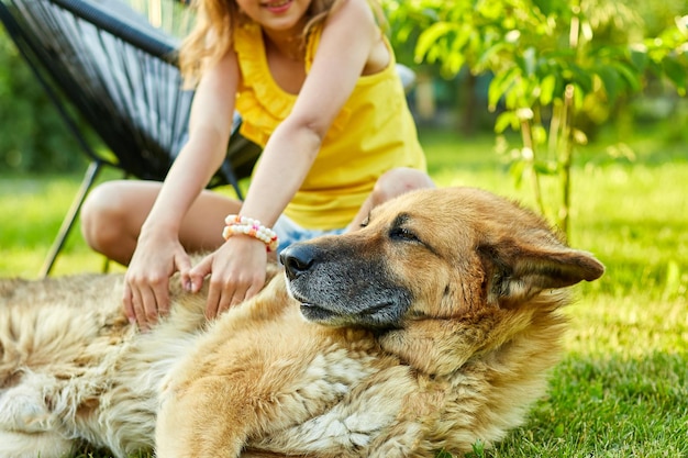 Nettes Mädchen und alter Hund genießen den Sommertag auf dem Gras im Park