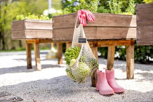 Netzbeutel voller frisches Gemüse, das im heimischen Garten hängt