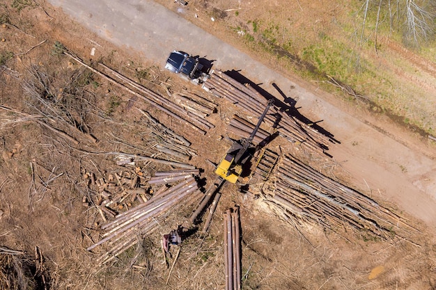 Neu gefällte Holzstämme, die von einem großen Transportwagen mit Luftbild bewegt werden