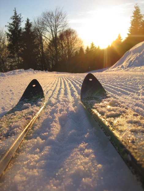 Neu gefräste Skipiste mit Skiern