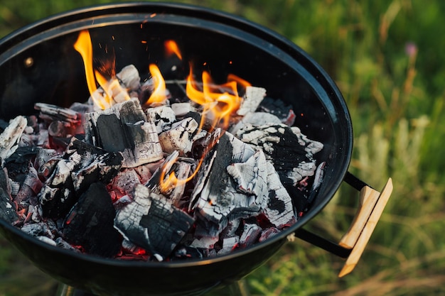 Neuer moderner Grill mit brennendem Brennholz in der Nähe der Natur