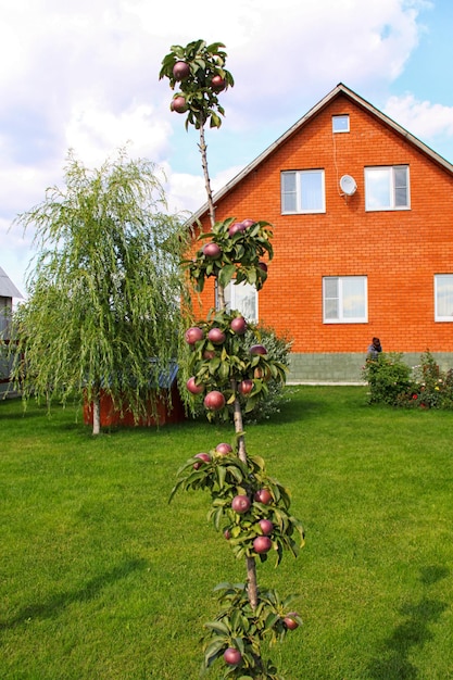 Neues Cottage außerhalb der Stadt