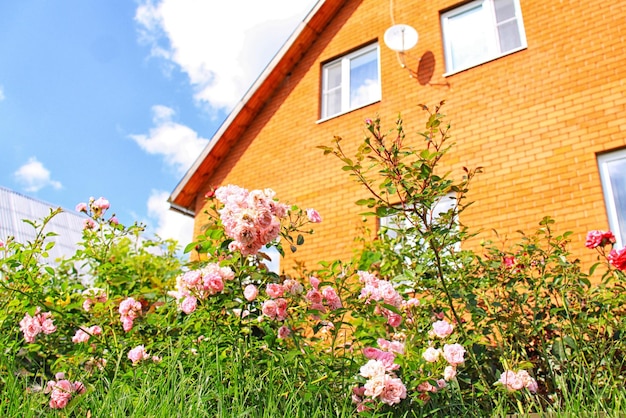 Neues Cottage außerhalb der Stadt