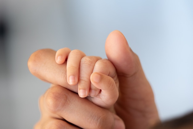 Neugeborene Baby Tiger und Mutter Hand lieben Gefühl