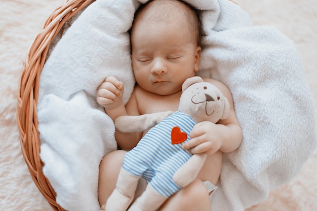 Neugeborenes Baby mit Kuscheltier schläft in einem Babykorb