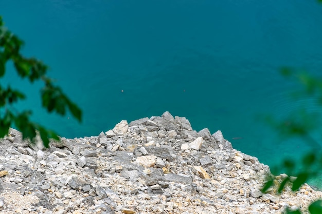 Neugierige Fische schwimmen auf der Suche nach Nahrung ans Ufer