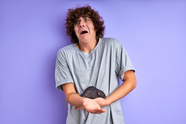 Neugierige graue Ratte kriecht auf dem Arm eines Mannes, Kerl hat Angst vor dekorativer Ratte, schreit vor Angst