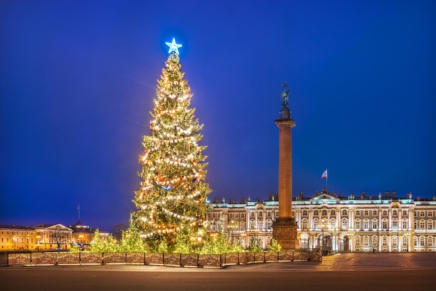 Neujahrsbaum auf dem Palastplatz in St. Petersburg