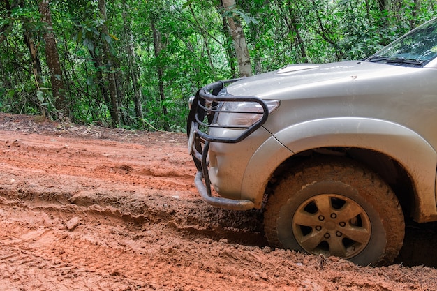 Neumático de coche en el camino de tierra con el tronco de un árbol caído en un bosque.