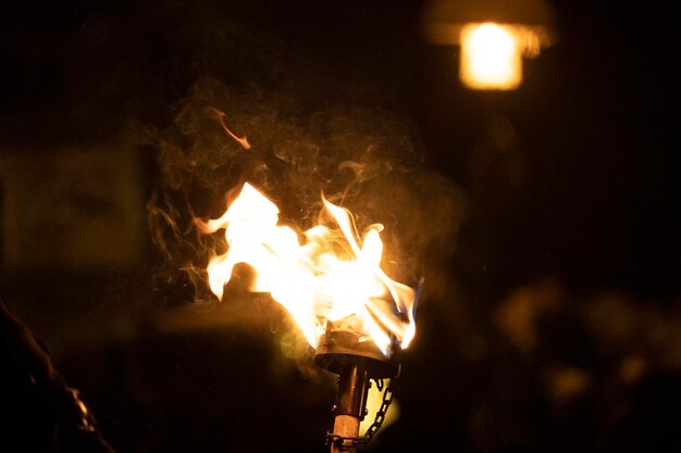 NEUSCHOENAU, ALEMANIA - 5 DE ENERO DE 2019 - Celebración nocturna de Lousnacht con el espíritu del bosque Waldgeister en el pueblo de Baviera