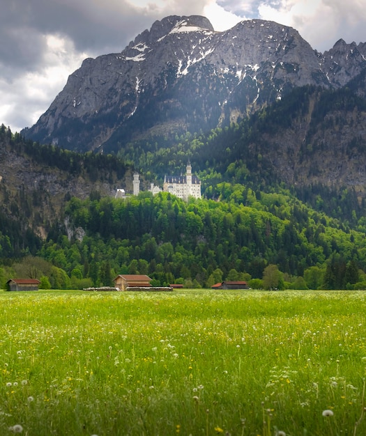 Neuschwanstein Castle ist ein romanischer Revival-Palast aus dem 19. Jahrhundert auf einem schroffen Hügel