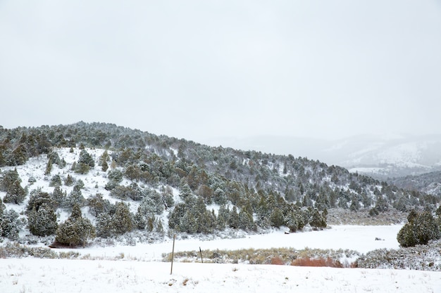 Nevada, eua, primavera, neve, em, a, montanhas