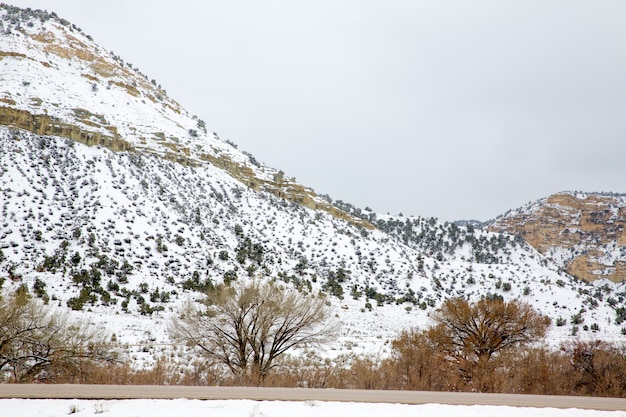 Nevada, eua, primavera, neve, em, a, montanhas