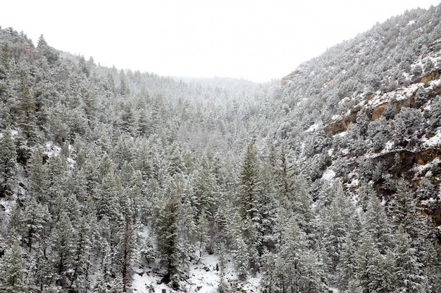 Nevada USA primavera nieve en las montañas