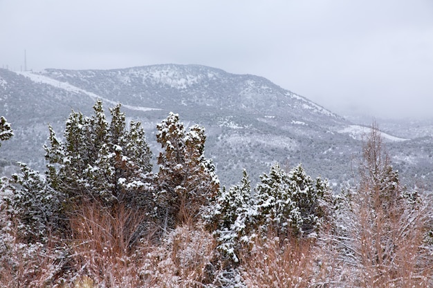 Nevada USA primavera nieve en las montañas