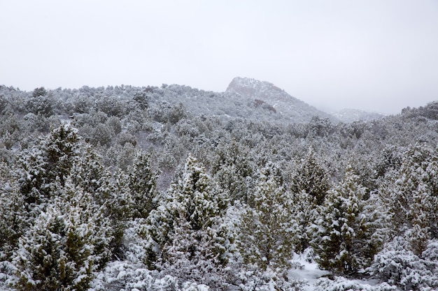 Nevada USA primavera nieve en las montañas