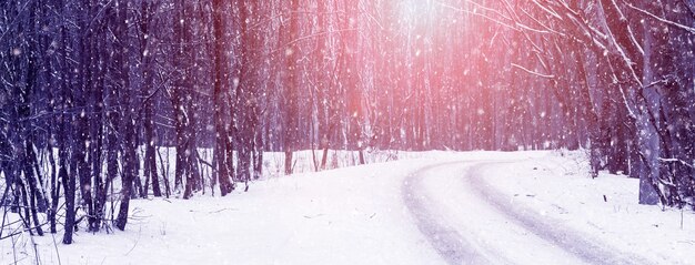 Nevadas en el bosque de invierno durante la puesta de sol, camino en el bosque de invierno