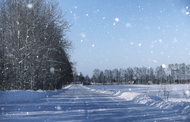 Nevado en la carretera rural vacía en el bosque en día de invierno