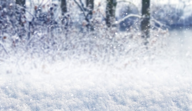 Foto nevasca na floresta com terreno coberto de neve e árvores fora de foco