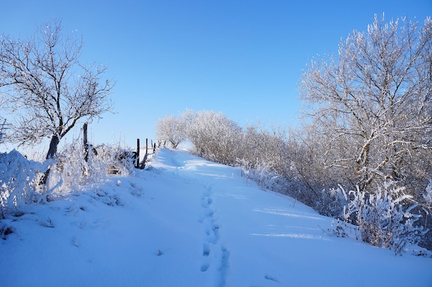 Foto nevascas no campoatmosfera úmida de inverno gelado