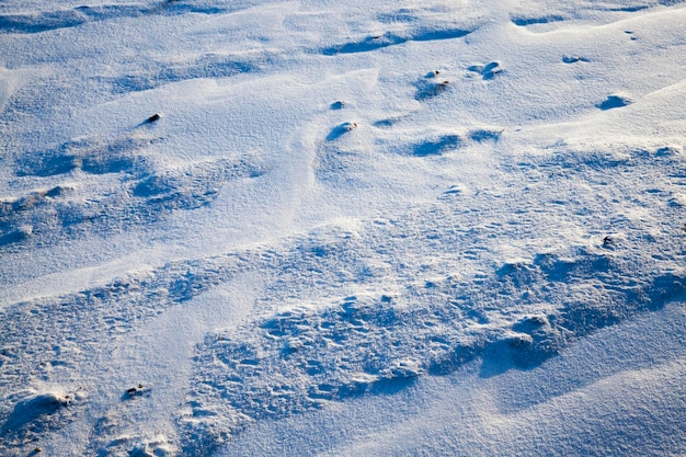 Neve após a queda de neve na temporada de inverno na natureza