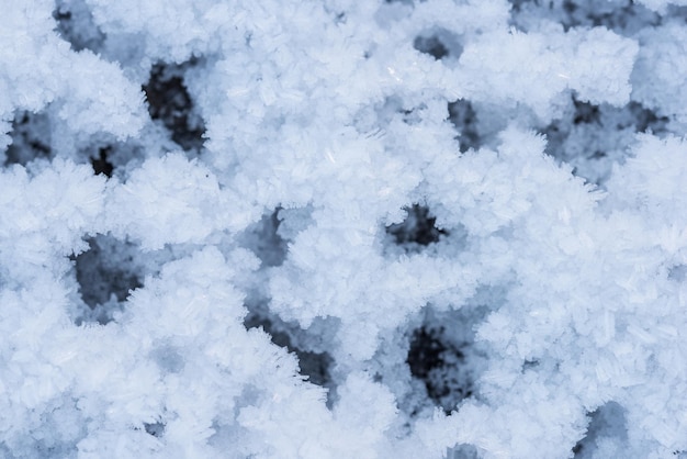 Neve como plano de fundo, visão aproximada, clima de inverno, primavera, fundo de neve azul granulado