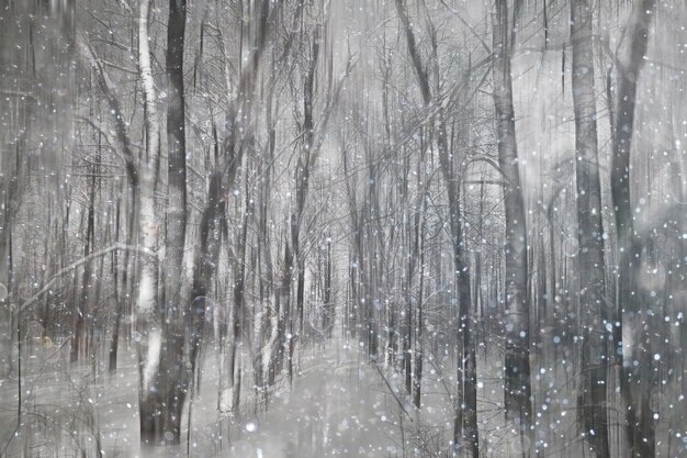 neve da floresta fundo desfocado / paisagem de inverno floresta coberta de neve, árvores e galhos no clima de inverno