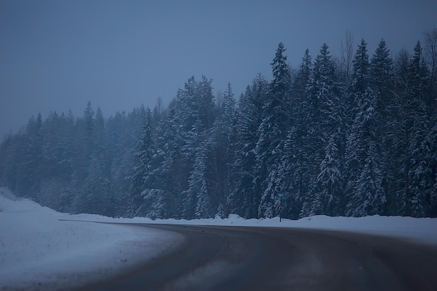 neve e nevoeiro na paisagem da estrada de inverno / vista do clima sazonal uma estrada perigosa, uma paisagem solitária de inverno