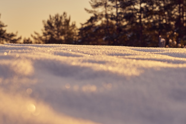 Neve em primeiro plano em uma noite gelada de inverno ao pôr do sol