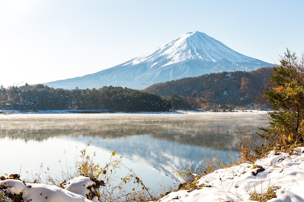 Neve Fuji Kawaguchiko final do outono