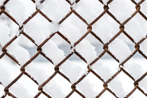 Neve na cerca de treliça Fechar