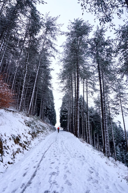 neve na montanha na temporada de inverno