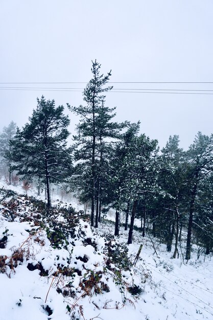 neve na montanha na temporada de inverno