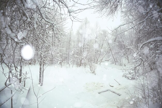 neve na paisagem de inverno do campo em um dia nublado