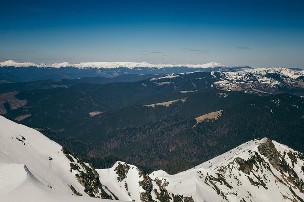 Neve nas montanhas, floresta de coníferas, céu azul de primavera. Foto de alta qualidade