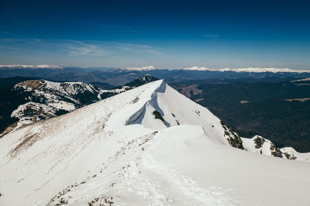 Neve nas montanhas, floresta de coníferas, primavera, céu azul