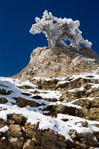 Neve nas montanhas