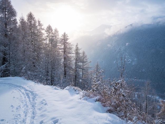 Neve nos Alpes italianos Bela vista da aldeia idílica na floresta de neve e picos de montanhas cobertas de neve Piemonte Itália