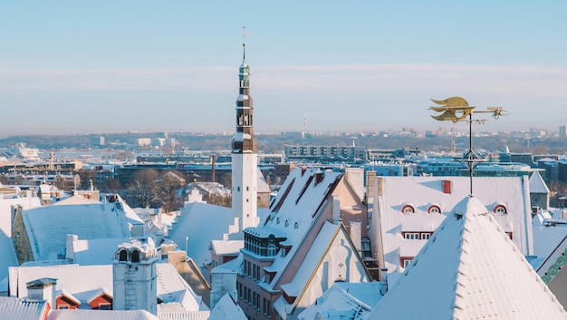 Neve Velha Tallinn, Estônia. Grande neve em Tallinn