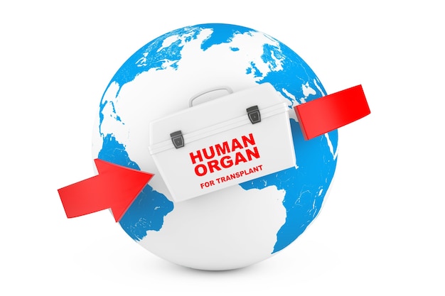 Nevera para el transporte de Órganos de Donantes Humanos con Mapa del Mundo Globel Earth sobre fondo blanco. Representación 3D
