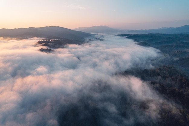 Névoa da manhã e nuvens na floresta de colina