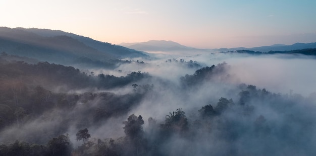 Névoa da manhã e nuvens na floresta de colina