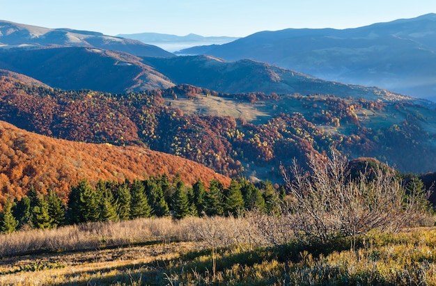 Névoa da manhã no outono dos Cárpatos. Paisagem do amanhecer no topo da montanha com árvores coloridas na encosta.