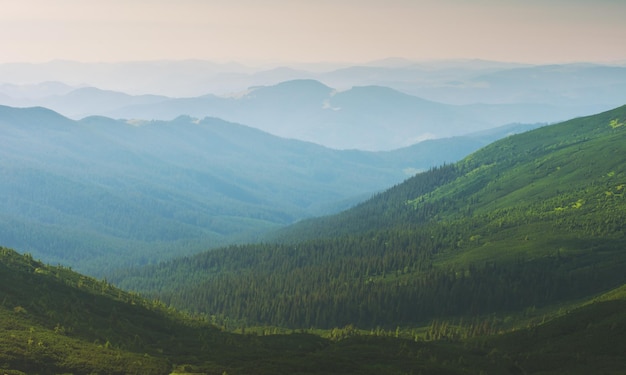 Névoa da paisagem montanhosa