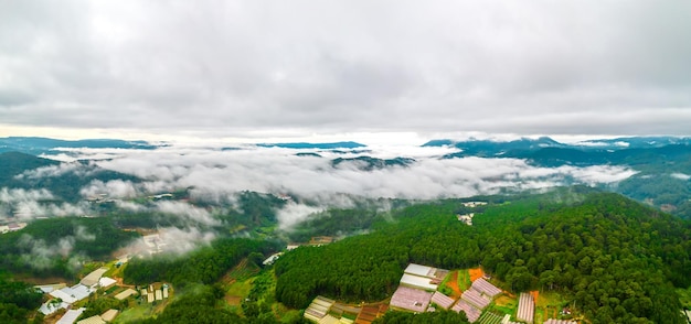 Névoa do mar em uma montanha. Ondas de nuvens nos picos de fundo cobertos com floresta de pinheiros e orgânicos