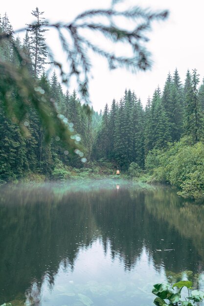 Névoa do tempo enevoado acima do lago nas montanhas dos Cárpatos